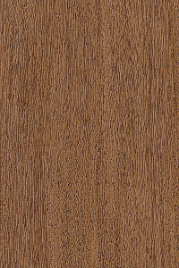 Shore Windows & Doors Images