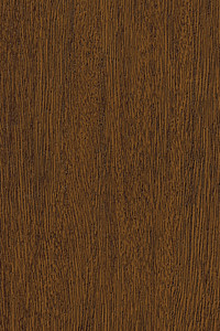 Shore Windows & Doors Images
