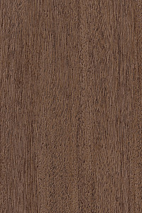 Shore Windows & Doors Images