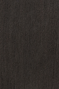 Shore Windows & Doors Images