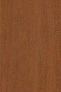Shore Windows & Doors Images