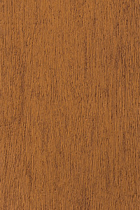 Shore Windows & Doors Images