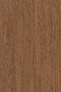 Shore Windows & Doors Images