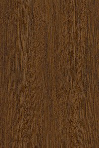 Shore Windows & Doors Images