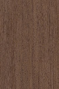 Shore Windows & Doors Images
