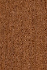Shore Windows & Doors Images