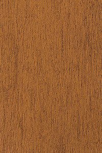 Shore Windows & Doors Images